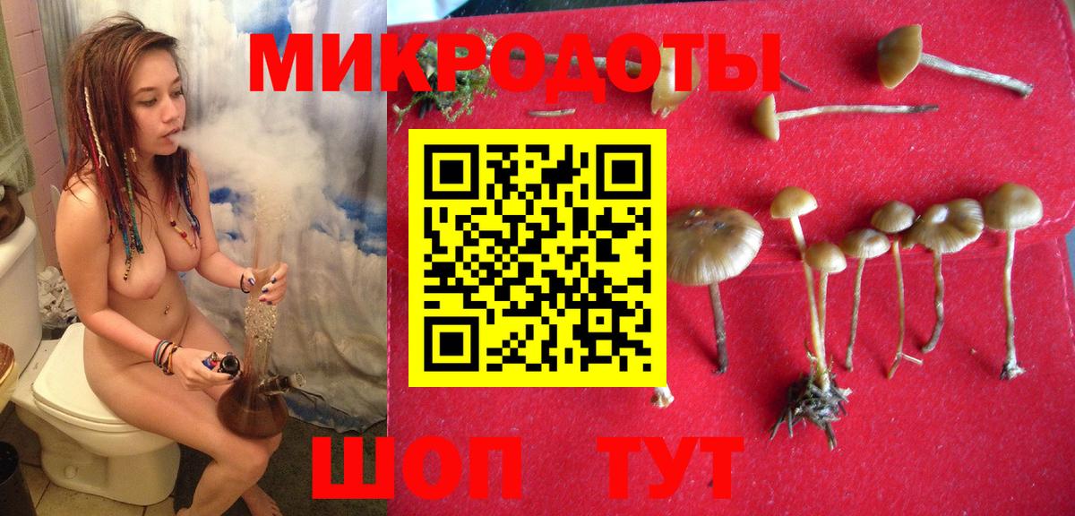 Галлюциногенные грибы мухоморы  Галлюциногенные грибы Magic Shrooms  Вход с VPN  Грязи 