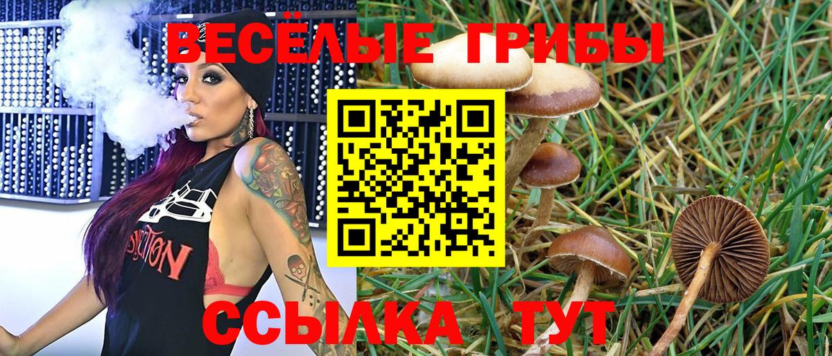 Псилоцибиновые грибы ЛСД Грязи